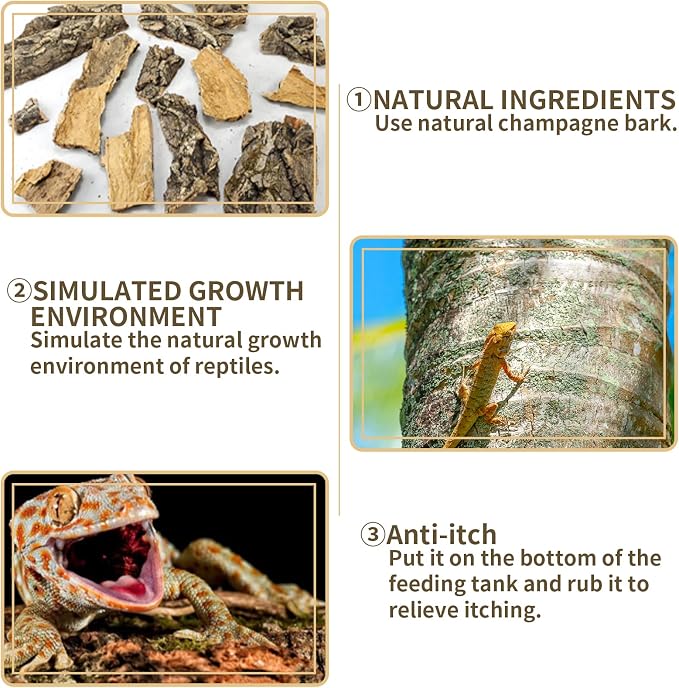 Fhiny 2 PCS Cork Bark Background, 11.6" x 7.7" Natural Reptile Terrarium Backdrop, Reptile Climbing Wall Decor for Bearded Dragon, Gecko, Chameleon, Snake