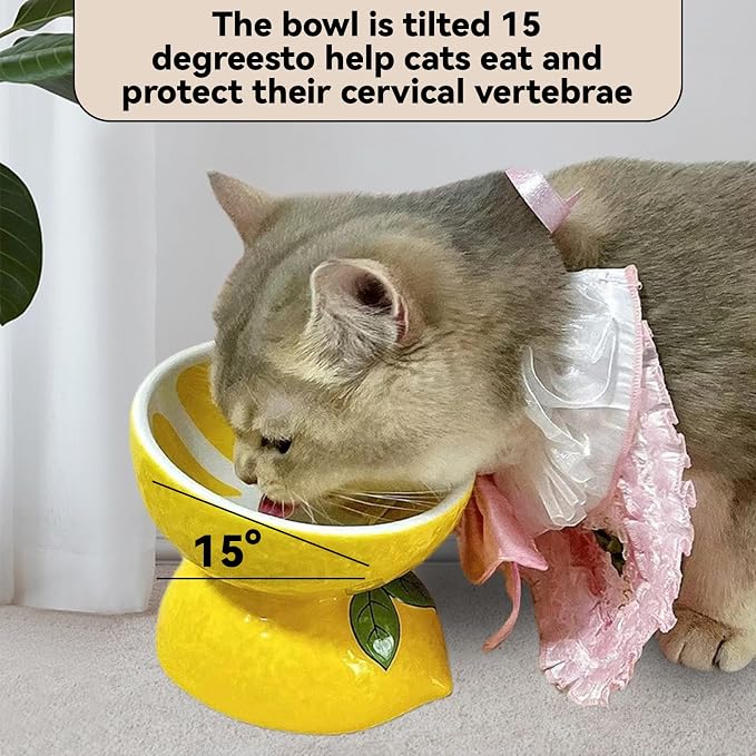 Hamiledyi Ceramic Raised Cat Bowl 5In Elevated Wide Cat Bowl for Food and Water Anti Vomiting Tilted Pet Feeder Dish for Indoor Cats and Small Dogs(Lemon)