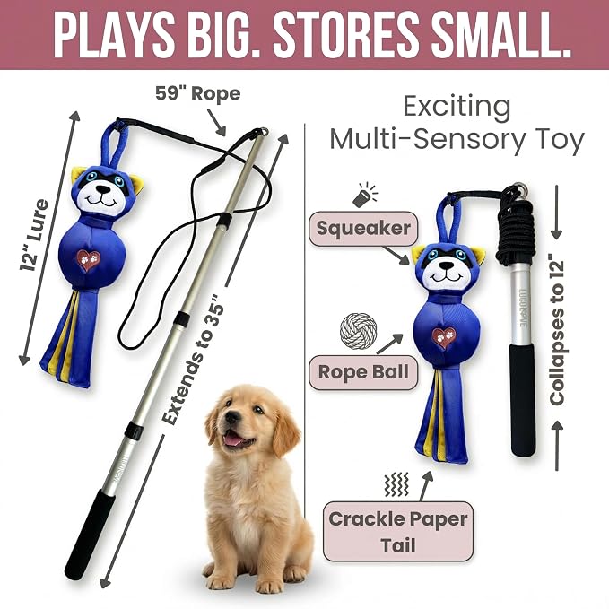Flirt Pole for Dogs Heavy Duty - Multi-Sensory Tough Chase Toy for Medium & Large Breeds – Extra Strong 35" Dog Teaser Wand for Backyard Play, Training and Interactive Fun (Raccoon)