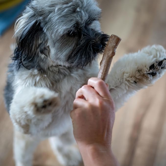 Pupstages Super Dogwood Dog Chew Toy, Made in the USA – Real-Wood Blend, Natural Wood Flavor & Texture, Moderate Chewers, XS, 6"