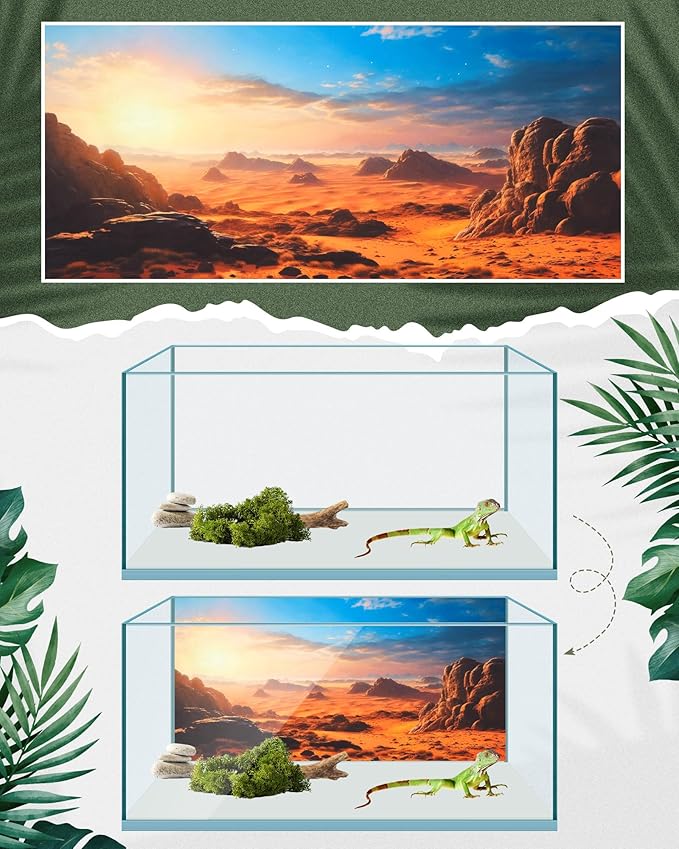 Breling 4 Pcs 36 x 18 Inch Reptile Habitat Background with Nano Glue Gobi Sun Cactus Stone and Green Tree Fern Stream Bearded Dragon Terrarium Background Polyester Durable Aquarium Accessories