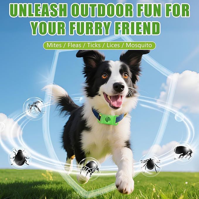 Natural Flea and Tick Prevention Dog Tag – Waterproof Collar Pendant with 2 Extra Refills, Green, Safe for All Breeds Collar Not Included