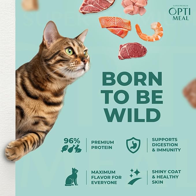 Optimeal Grain-Free Wet Cat Food Pouches – Chicken & Turkey in Savory Gravy, High Protein & Moisture-Rich Tender Morsels, Indoor Adult Cat Food Wet with Natural European Ingredients, 3 oz (Pack of 12)