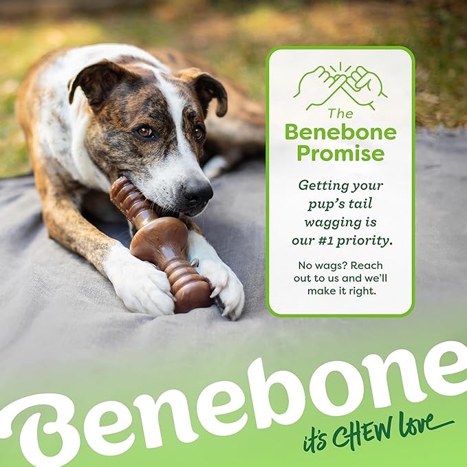 Benebone Zaggler Rolling Dog Chew Toy for Aggressive Chewers, Real Chicken, Made in USA, Small