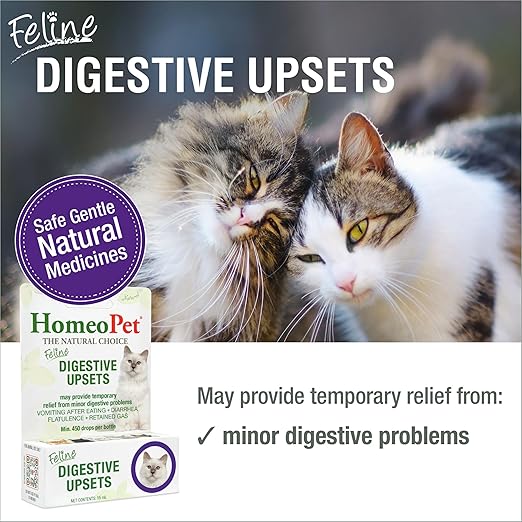 HomeoPet Feline Digestive Upsets, Safe and Natural Cat Digestive Support, 15 Milliliters