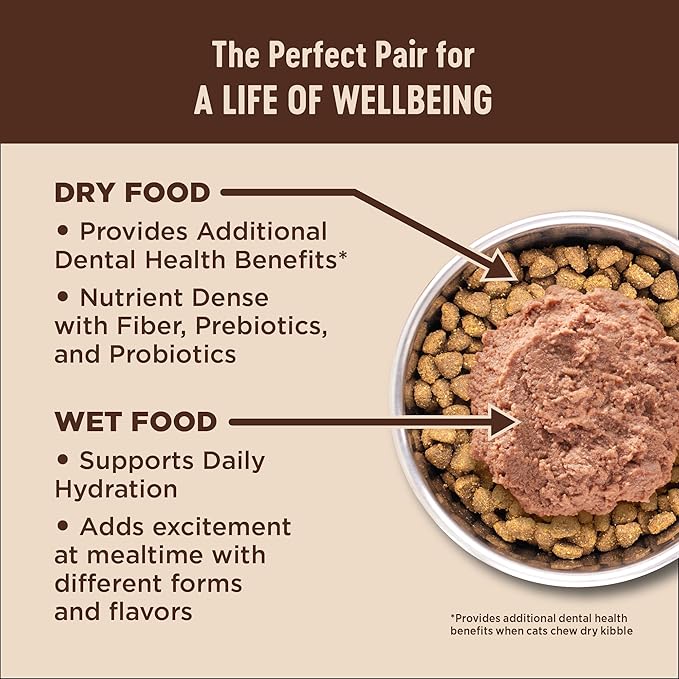 Wellness CORE+ Adult Dry Cat Food, Natural, Wholesome Grains Kibble, Digestive Health Chicken and Rice Recipe, 11 lb Bag