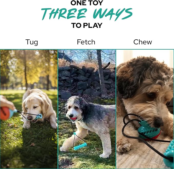 Tail Town Dog Toy Ball with Handle, TPR Rubber Treat Dispensing Ball for Dogs, Tug of War & Fetch Toy, Textured Chew Ball for Small Medium Large Dogs