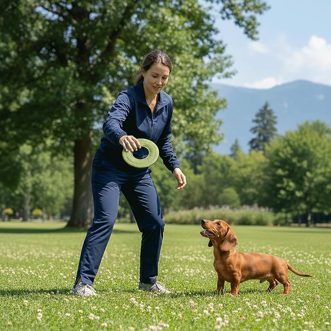OllyDog Mini Super Flyer, Floating Dog Disc for Water Play – Soft Durable Dog Fetch Toy, Eco-Friendly Recycled Material, Gentle on Teeth, Lightweight Flying Disc for Medium, Small Dogs (Palm, 9")