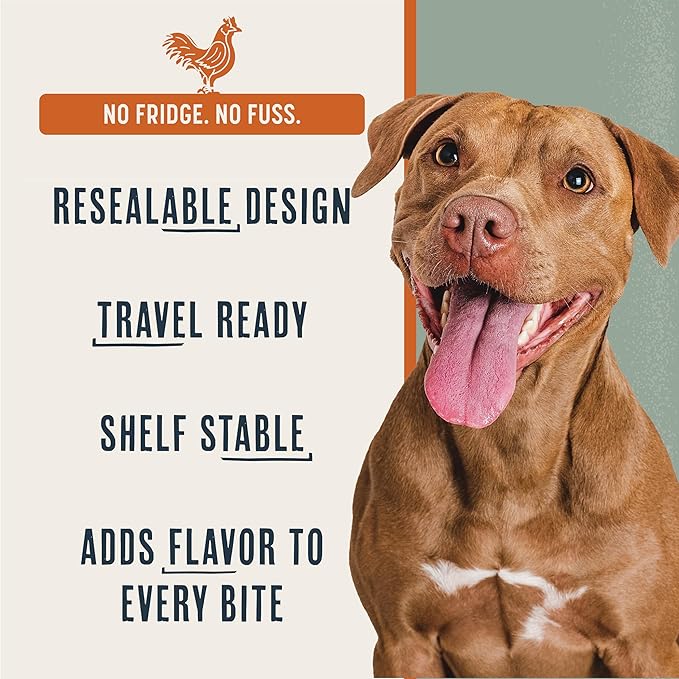 BEAUMONT BASICS Flavors Food Topper for Dogs - All 4 Recipes Gift Pack - Natural, Grain Free - Perfect Seasoning, Gravy, and Kibble Sprinkle for Picky Dog- 3.1oz Bottles