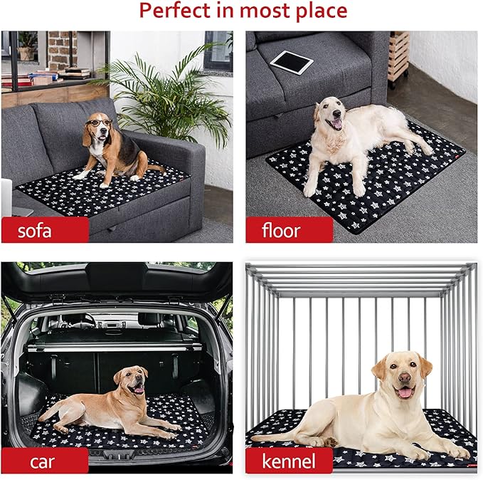 PetSafe 36" x 23" Soft Dog Bed Mat, Cute Prints, Personalized, Anti-Slip, Machine Washable Kennel Pad