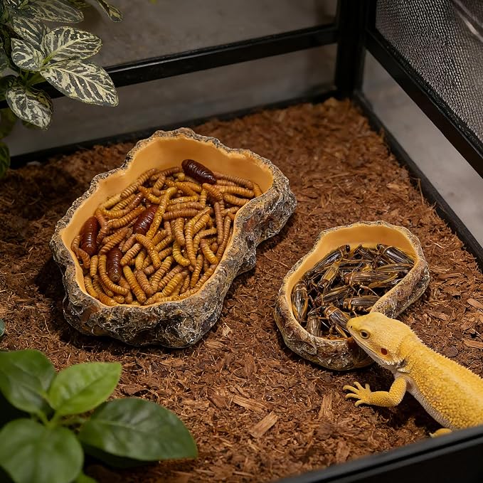 Reptile Food Dish, Terrarium Water Bowl, Feeding Bowl for Reptile Amphibian Pets (Large)
