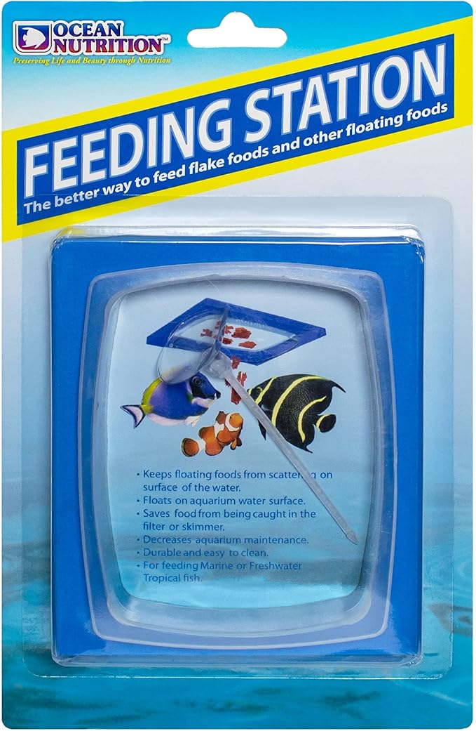 Feeding Station for fish