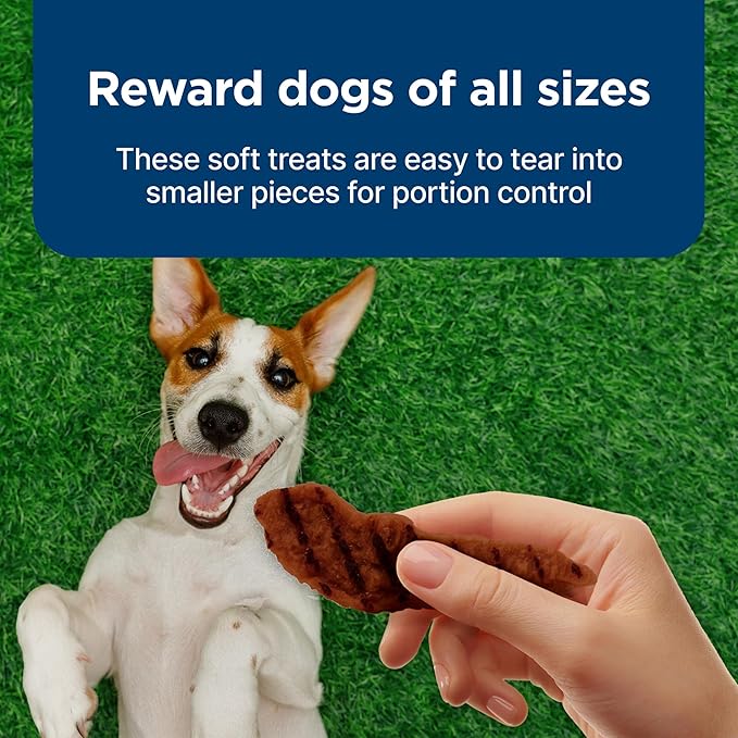 Blue Buffalo Nudges Grillers Natural Dog Treats, Made in the USA with Real Steak, 16-oz Bag, (Pack of 5)