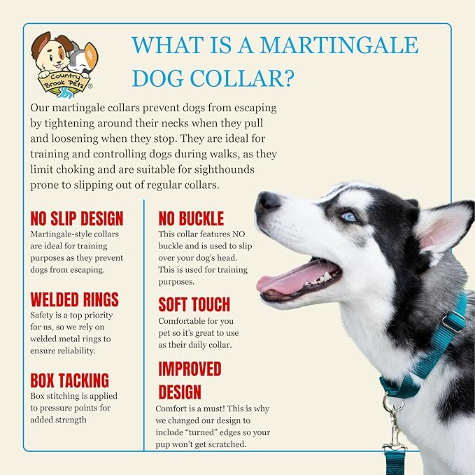 Country Brook Petz - Martingale Dog Collar - Heavy-Duty Training Collar with No Buckle - Service Dog Collar for All Pups - 20 Vibrant Colors (Teal, 1 Inch, Medium)