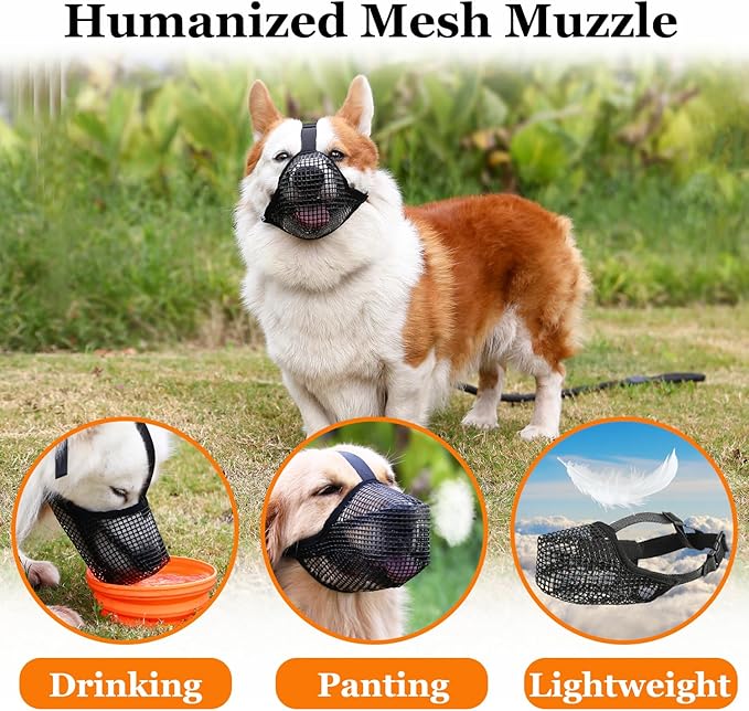 Crazy Felix Dog Muzzle, Soft Mesh Muzzle for Small Medium Large Dogs Labrador German Shepherd, Breathable Adjustable Mouth Guard for Biting Chewing Scavenging, Allows Panting and Drinking(Grey, M)