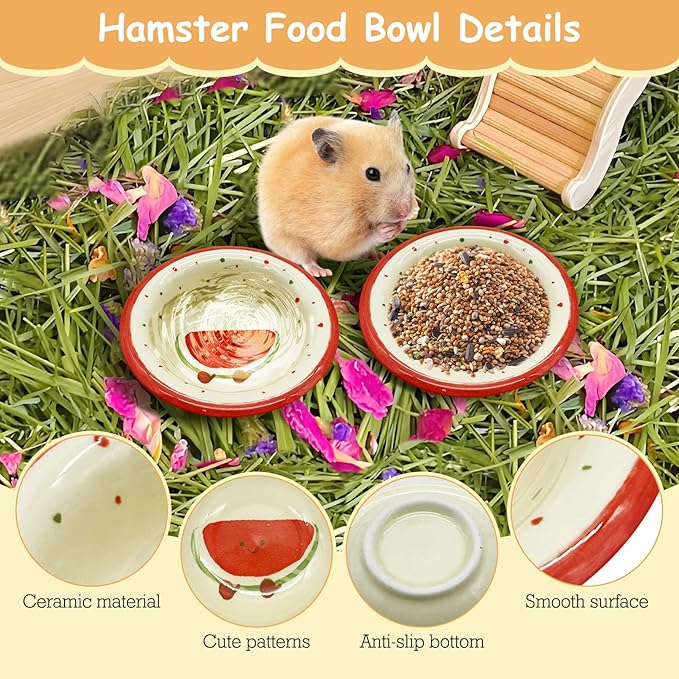 kathson Hamster Ceramic Food Bowl Small Animal Bowls with Watermelon Pattern for Cage Guinea Pig Anti-Turning Food and Water Dish Pet Feeder for Gerbil Hedgehog 2PCS