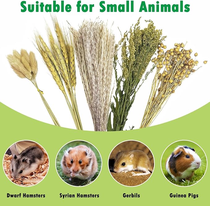PINVNBY Natural Flower & Herb Hamster Bedding Habitat Decor Grain Guinea Pig Bedding Hamster Sprays Hamster Cage Accessories for Guinea Pig Dwarf Syrian Gerbils Mice Mouse Rat (Grain Version)