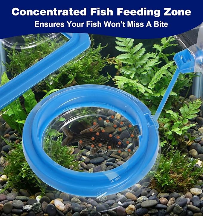 Fish Feeder Ring, 4 Pack Fish Feeding Ring Round and Square Floating Food Feeder with Suction Cup for Betta, Goldfish, Guppy, Turtle