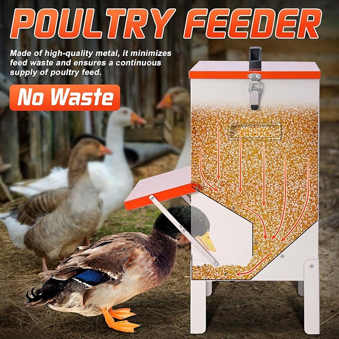 30lbs Automatic Chicken Feeder and Duck Feeder for Outside, Metal Chicken Feeders No Waste, Large Poultry Feeder for Chickens, Ducks, Geese, Pigeons, Dogs, Cats (Orange)