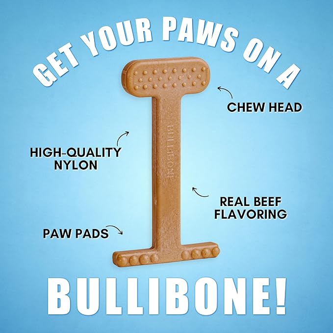 Bullibone Nylon Dog Chew Toy for Aggressive Chewers - Dental Hygiene Bone with Beef Flavor, Durable Tough Chew Toys for Small Dogs, Indestructible Dog Bone - 2 Pack