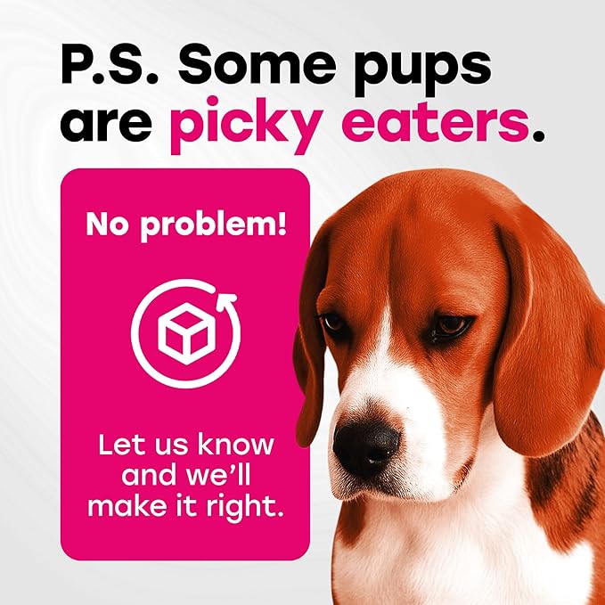 24-in-1 Dog Multivitamin Chews – Dog Vitamins and Supplements with Glucosamine, Chondroitin, Probiotics, Salmon Oil, Biotin – Daily Mobility, Digestion, Skin and Coat Support, Beef Flavor