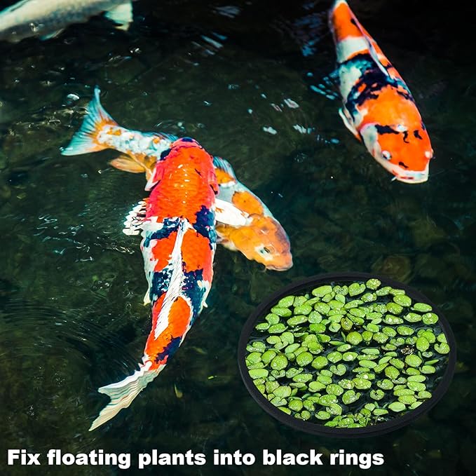 PAGOW 10pcs Fish Feeding Rings Set, Floating Aquarium Plant Corral, Round & Square Fish Feeder Rings for Fish Tank, Floating Plant Ring, Fish Tank Aquarium Accessories for Betta (Black)