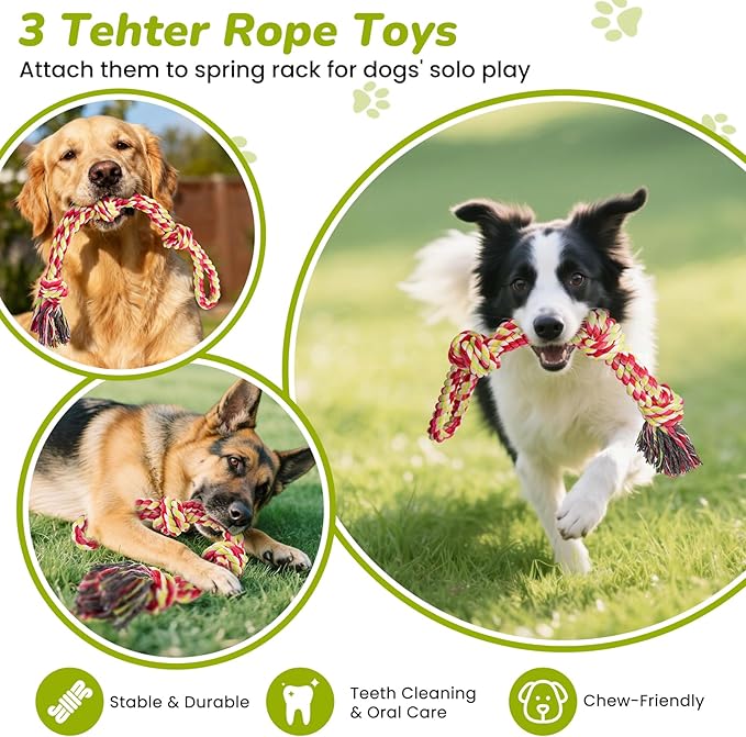 360° Rotation Tether Outdoor Dog Rope Toy, Exercise Tug Of War Dog Toy in Yard/Park/Lawn, Dog Training 3 Rope Toys, 2 Strengthen Spring Poles, Self Play and Interactive Toy for Large Medium Small Dog