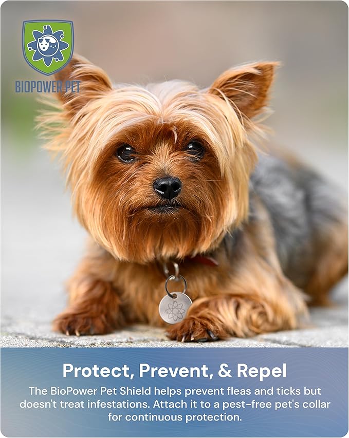 Shield Tag - Natural Flea & Tick Repellent Collar Tag for Dogs & Cats - Waterproof, Lasts 12 Months - Stainless Steel Pendant - Regular Tag (1Pack)