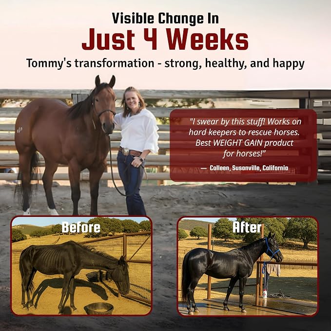 Horse Guard Super Weight Gain 24 lb – 3-in-1 Horse Weight Gain Supplement with Full-Fat Soy, Probiotics & Vitamins – Supports Digestion, Coat & Muscle Health – 48 Servings