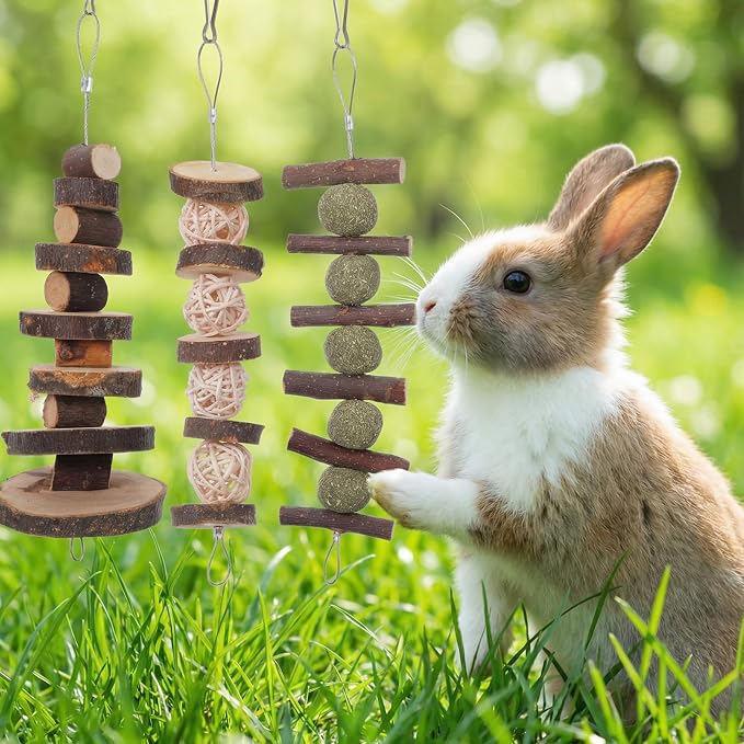 7 Pcs Bunny Chew Toys, Natural Apple Wood Hanging Rabbit Chew Toy Treats for Guinea Pigs Hamsters Chinchilla Ferret Rats, Improve Small Animal Dental Health for Teeth Grinding