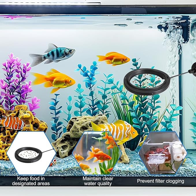 2 PCS Fish Feeding Ring, Aquarium Feeding Ring Floating Fish Feeder Rings with Strong Suction Cup for Guppy, Betta, Goldfish and Other Small Fishes (Square and Round Shape)