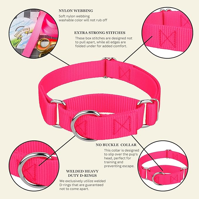 Country Brook Petz - Martingale Dog Collar - Heavy-Duty Training Collar with No Buckle - Service Dog Collar for All Pups - 20 Vibrant Colors (Hot Pink, 3/4 Inch, Small)