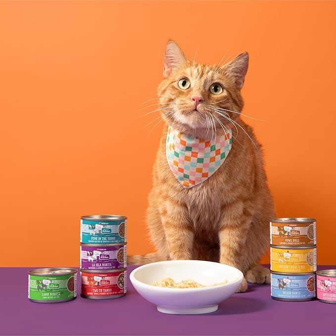 Weruva Cats in The Kitchen, The Coolsville Catch! Variety Pack, 3.2oz Can (Pack of 12)