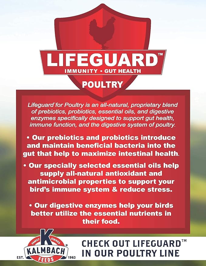 KALMBACH Feeds Henhouse Reserve Poultry Supplement, 20-LB Block