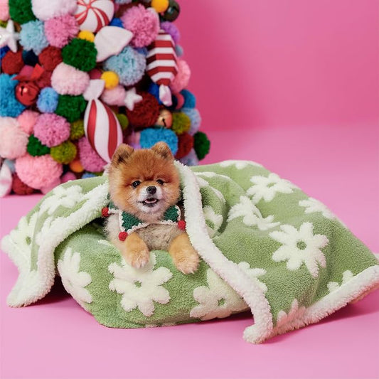 LE SURE Waterproof Puppy Blanket for Small Dogs - Washable Double Sided Dog Blankets with Warm Jacquard Shag and Soft Sherpa Fleece, Pet Cat Blanket for Couch Protection, 3D Textured Cloud, Green