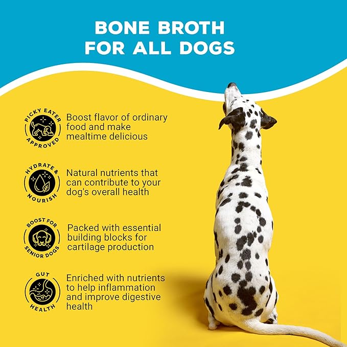 Brutus Broth Dog Food Topper - Instant Bone Broth Powder for Adult Dogs - Supports Hip and Joint Function - Human-Grade Quality, Serve Dry or Wet - Beef Flavor, 3.5 oz (Pack of 1)