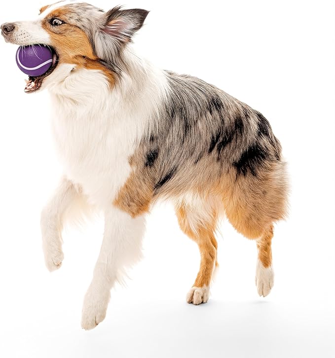 Playology Dog Toys | Squeaky Chew Ball for Large Dogs | Bacon Scented Jumbo Dog Balls | Bouncy Floating Chew Toys for Fetch