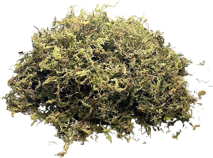 Sphagnum Moss Substrate for Reptiles & Terrariums (2)