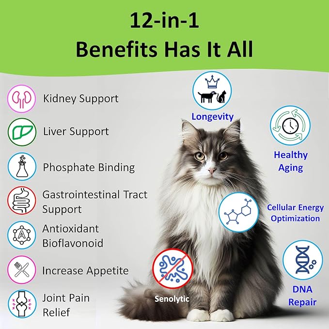 𝗘𝘃𝗲𝗻𝘁𝘂𝗮𝗹𝗹𝘆 𝗬𝗼𝘂𝗻𝗴 Cat Kidney Support for Dog & Cat with NMN & Fisetin - Super Phosphate Binder Kidney and Liver Supplement for Feline, Canine Healthy Aging & Longevity NAD+ (60 Caps)