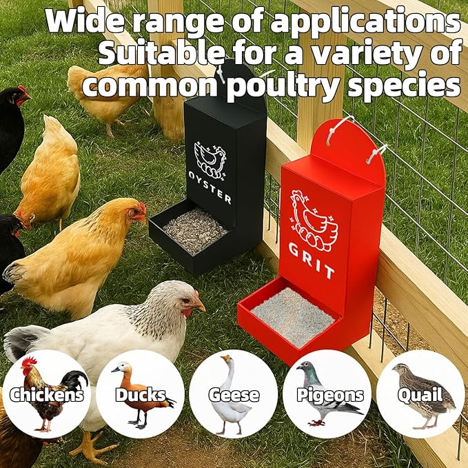 Chicken Oyster Shell Grit Feeder Coop Accessories Automatic Metal Hanging Gravity Poultry Supplies Automatic Suitable for Quail Pigeons Chicken No-Waste Design Easy to Install and Clean 2 Pack