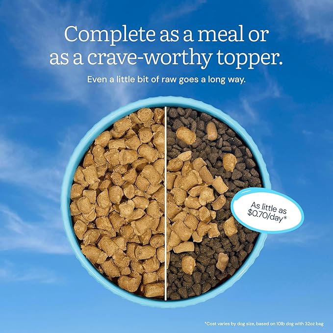 Get Joy Freeze Dried Dog Food | Beef Recipe with Superfoods for Gut Health & Digestion | Vet Formulated Meal or Topper for Puppy, Senior & Adult Dogs, 100% USDA Sourced, Seed Oil Free | 4oz Bag