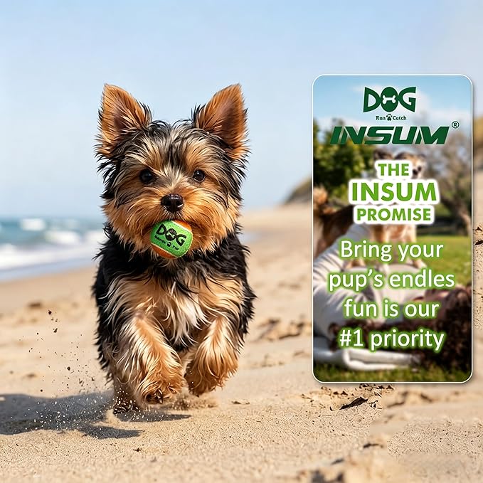 INSUM Squeaky Balls for Dogs - 24 Pack Small Squeaky Tennis Balls for Dogs, 2 Inch Eye-Catching Color Toy Balls, Built-in Squeaker, Idea for Doggie Birthday Gift