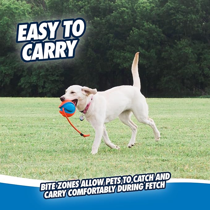Chuckit! Rope Fetch Dog Toy - Ball on Rope Fetch and Tug-of-War Toy for Dogs - Durable EVA Rubber Construction - 5.5-inch Diameter - 18-inch Rope - Orange and Blue (Pack of 4)