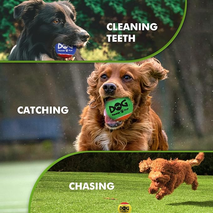 INSUM Small Tennis Balls for Dogs, 8 Pack Bright Color Squeaky Dog Balls, Built-in Squeaker, Idea for Doggie Birthday Gifts, Small Medium Breed