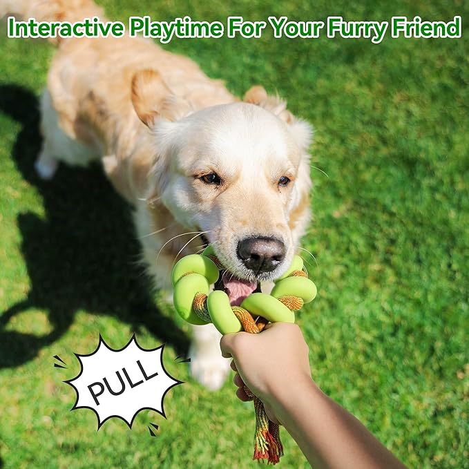 ALL FOR PAWS 6.1" Dog Ring Toy, Tug of War Dog Toy with TPR Foam & Rope, Interactive Dog Toys for Fetch, Training & Outdoor Play, Dog Toys for Small, Medium & Large Dogs