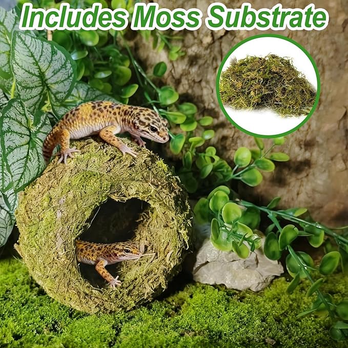 4pcs Crested Gecko Hide,Reptile Mossy Caves Hideout,Leopard Gecko Humid Hide,Natural Moss Cave Hiding Decor Tank Accessories for Reptiles, Amphibians,Invertebrates,Lizard,Frog