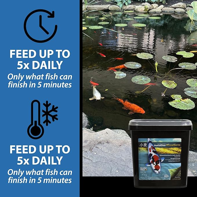 CrystalClear WheatGerm Fish Food—Protein-Rich Floating Pellets for Cold Freshwater Ponds, Ideal in Cooler Spring & Fall Seasons - 4.4 Pound Bucket