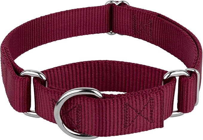 Country Brook Petz - Martingale Dog Collar - Heavy-Duty Training Collar with No Buckle - Service Dog Collar for All Pups - 20 Vibrant Colors (Burgundy, 1 Inch, Extra Large)