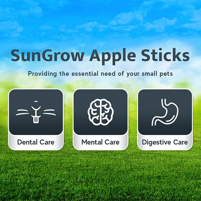 SunGrow Apple Sticks, Wood Chew Sticks for Rabbits, Chinchillas, Bunny, Hamster, Squirrel, Guinea Pigs, Small Animals Molar Pet Chew Toys Treat for Teeth Grinding 200g (7 oz)