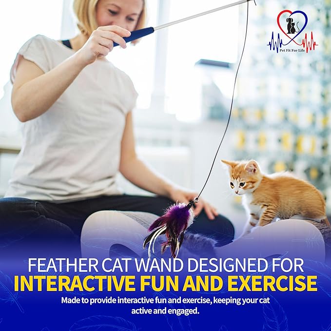 PET FIT for Life 2 Feather Wand CAT Toy, RED and Purple